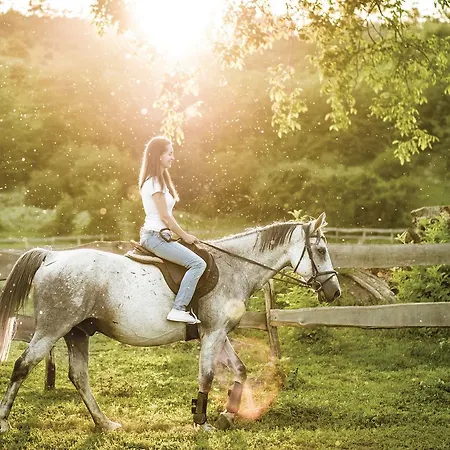 מלון Smolarnia Siedlisko (Greater Poland)