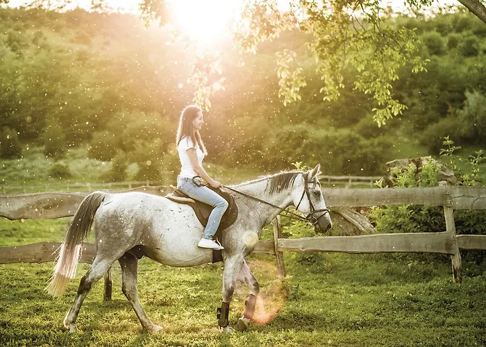 מלון Smolarnia Siedlisko (Greater Poland)
