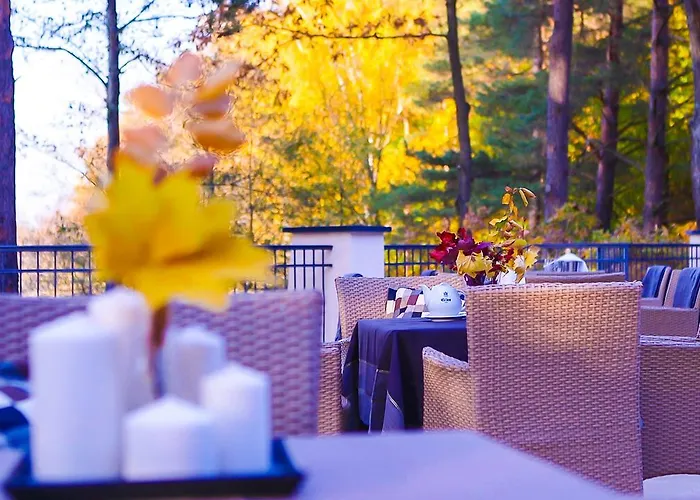 Smolarnia Hotel Siedlisko (Greater Poland)